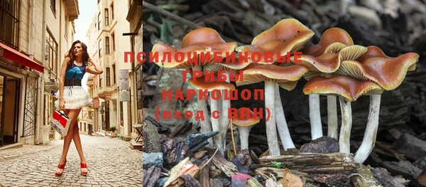 Альфа ПВП Новокубанск