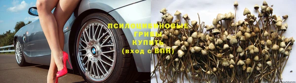 каннабис Новодвинск