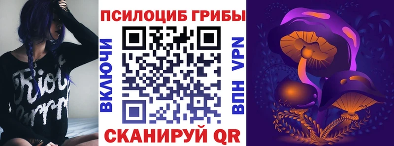Купить закладки  Красноуфимск  Псилоцибиновые грибы мицелий 